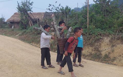 Boys carry wood. 