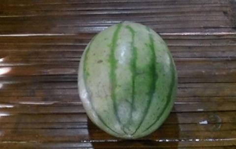 A watermelon.