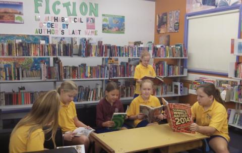 Library lessons