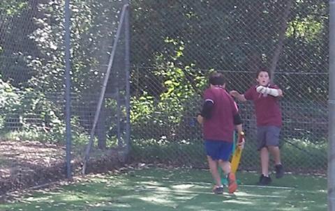 Jacob and Lewis playing cricket