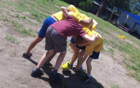 NRL: they are in a scrum. The ball has been played. Roosters get the ball