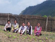 We are working in the school garden. 